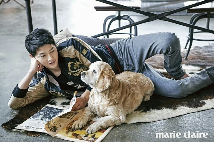 샤이니 키 송중기 같은 옷 다른 느낌.jpg | 인스티즈