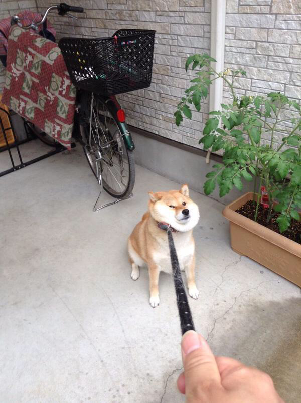 안 가 안 간다고.jpg | 인스티즈