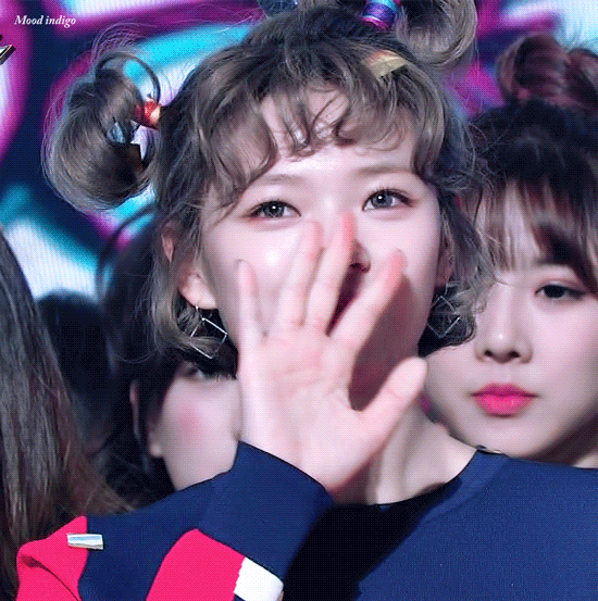 정연 머리로 실험하는 트와이스 헤디 | 인스티즈