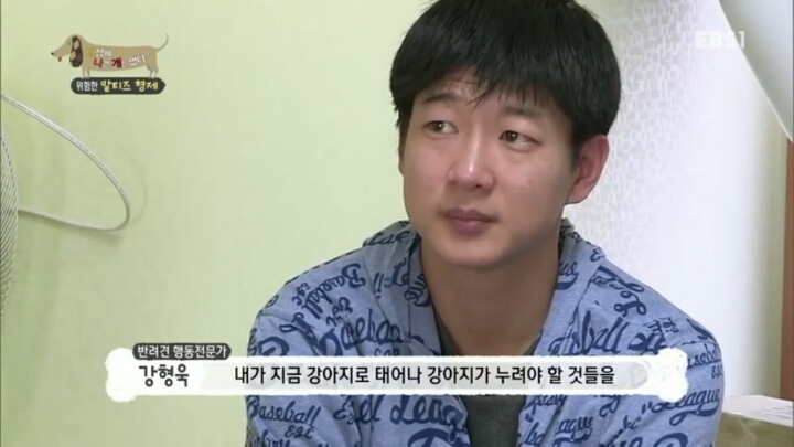 공격적인 반려견이 되는 이유 2부.jp | 인스티즈