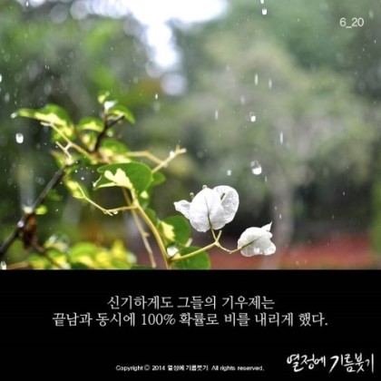 원하는것을 100%이루는 방법 | 인스티즈