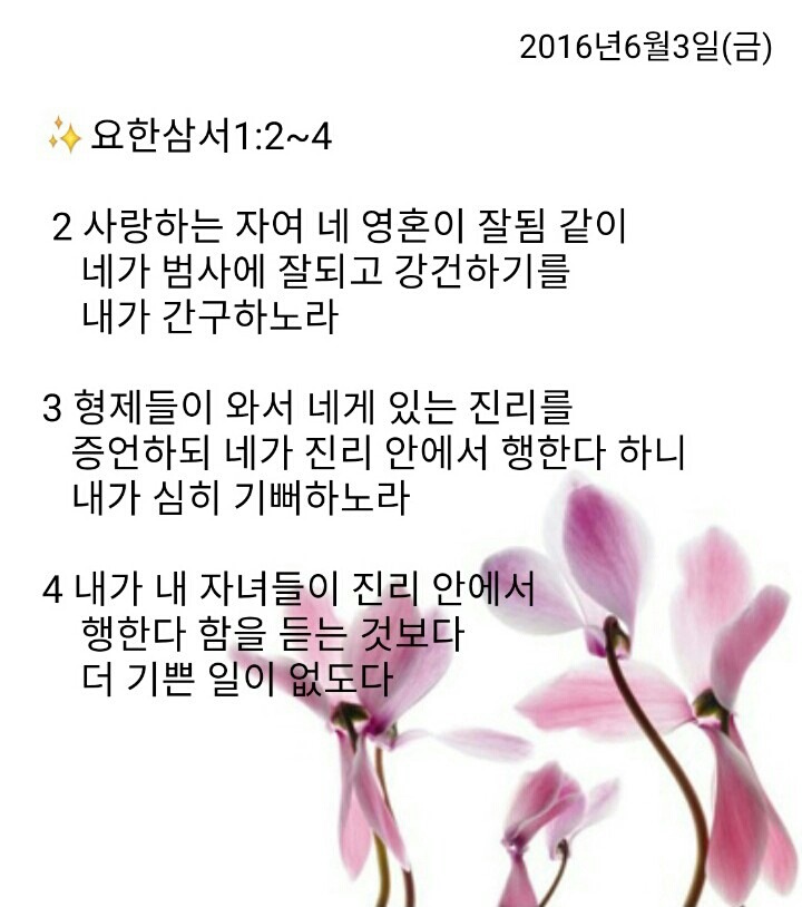백향 이미지