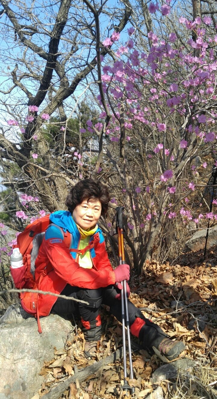 이새 이미지