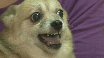 충격적인 분장을 선보인 베네딕트 컴버배치.jpgif | 인스티즈