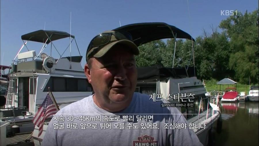 미국 전역을 장악한 아시아잉어의 역습.jpg | 인스티즈