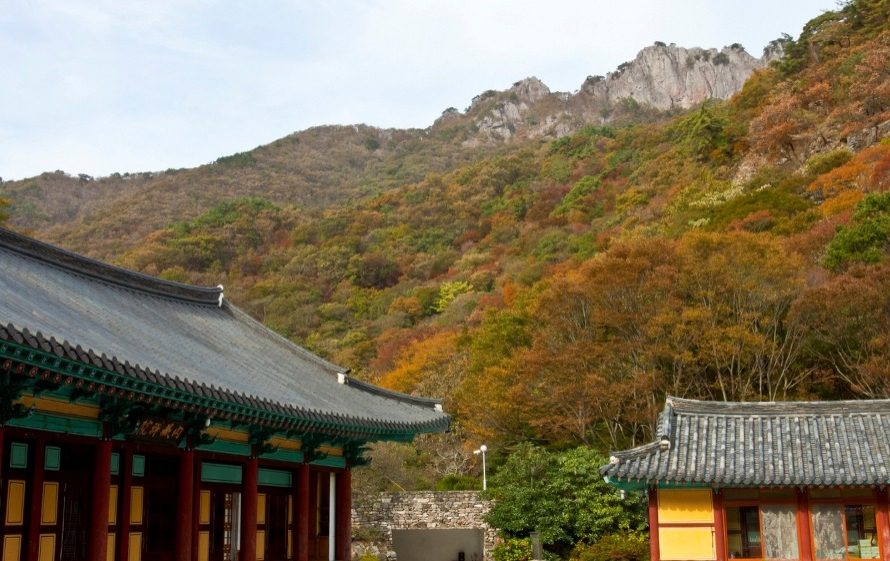 도건 이미지
