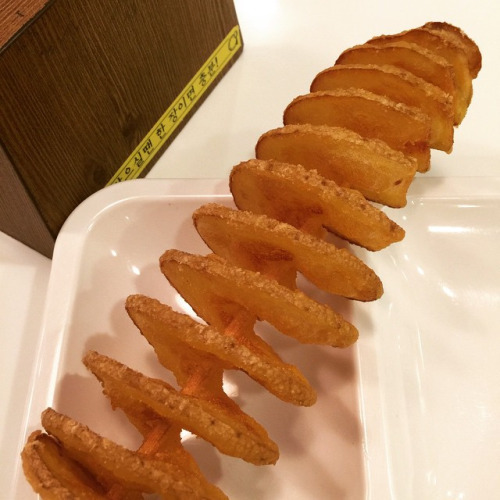 회오리감자.gif | 인스티즈