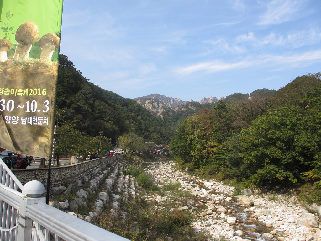 설약산 이미지