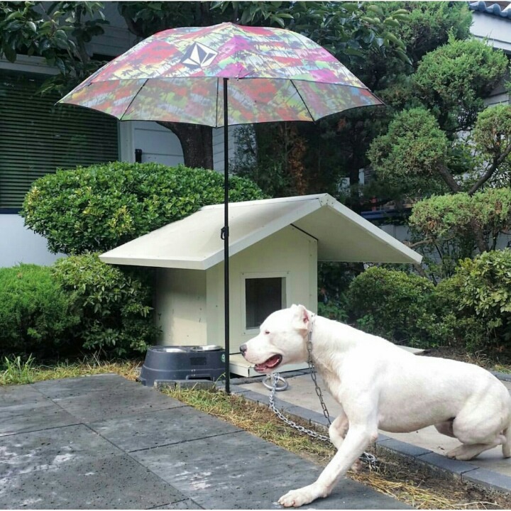안녕하세요 이미지