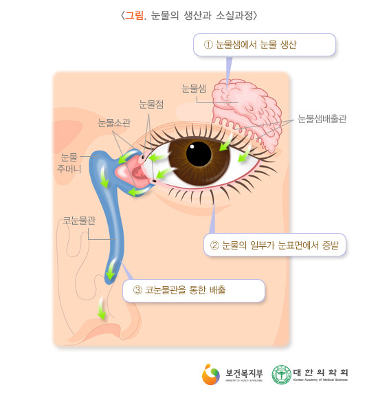 건강만세 이미지
