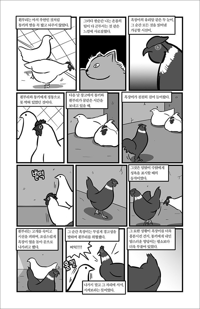 묘생만경 | 인스티즈