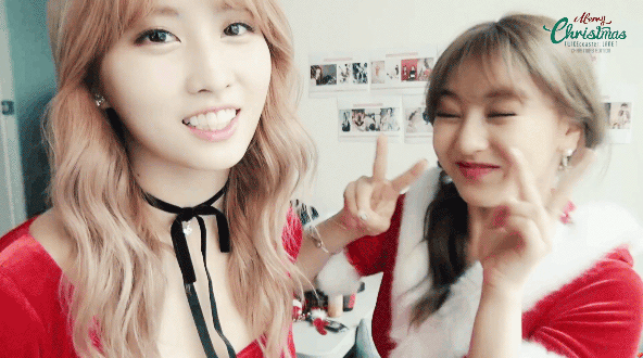 지효 × 트와이스 케미 | 인스티즈