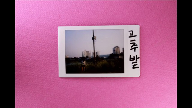 박막례 할머니에게 일주일동안 즉석 카메라를 맡겼을 때 | 인스티즈