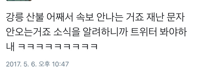 강릉인들 현재 심정.. | 인스티즈