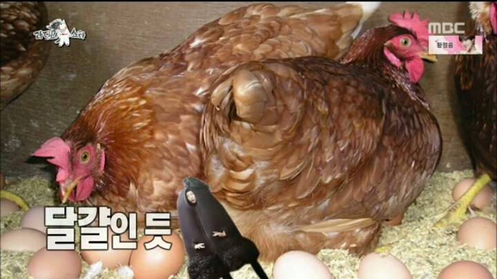 [라디오스타] 모델 한혜진 흑역사 | 인스티즈