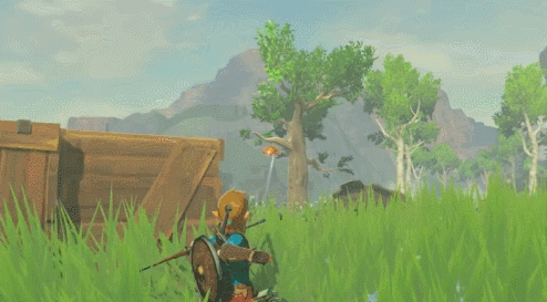 젤다의전설신작 Breath of the Wild 디테일 ㄷㄷㄷㄷ.jpg | 인스티즈