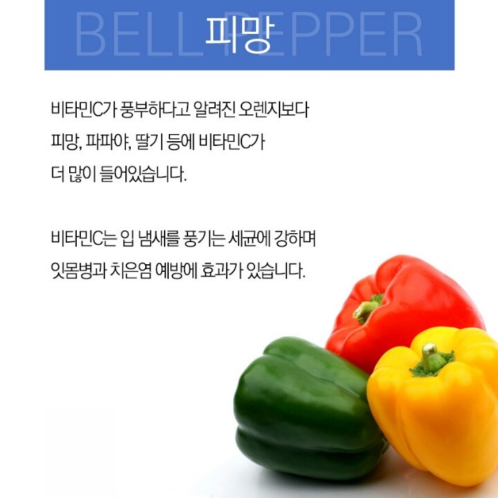 입냄새를 잡아주는 8가지 | 인스티즈