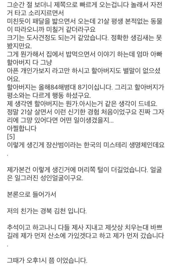 곧 개봉하는 영화 "장산범" 실제 목격 괴담 모음 | 인스티즈