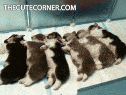 밥먹자.gif | 인스티즈