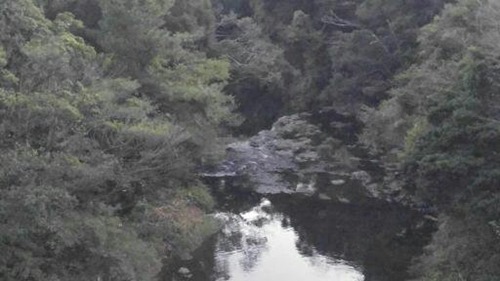 제주전분(주) 이미지