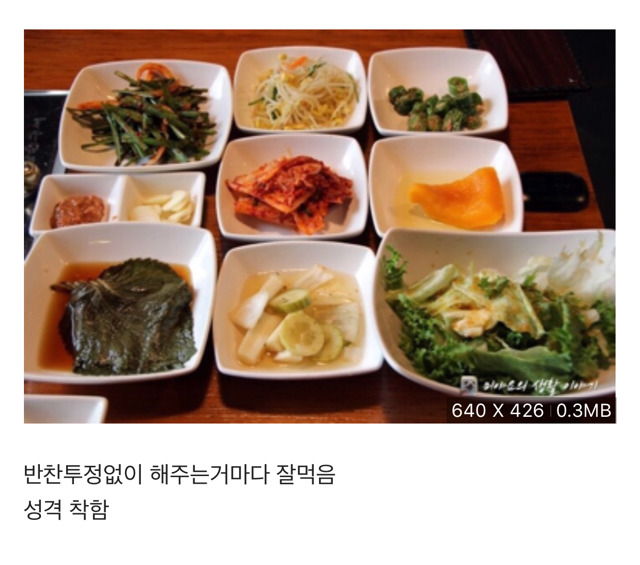 월1000벌지만 너무바쁜남편 vs 월300벌지만 가정적인남편 | 인스티즈