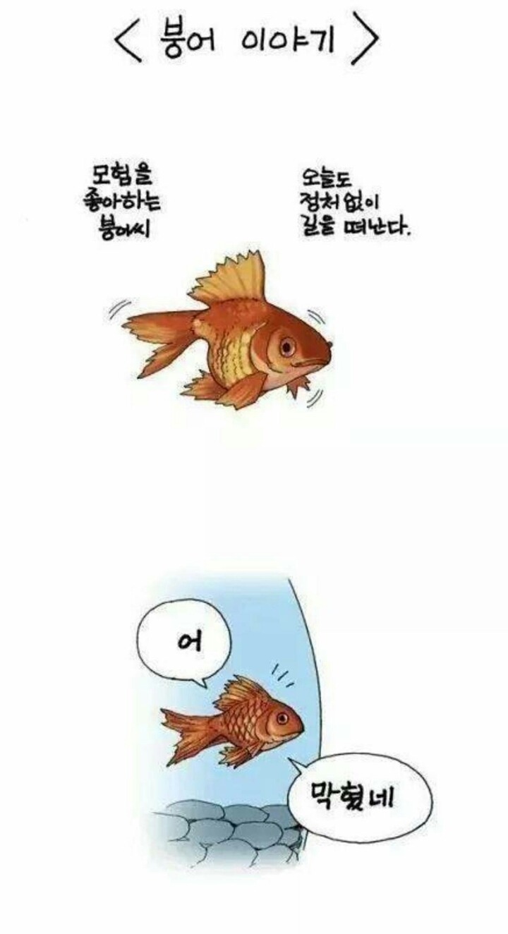 ㅋㅋㅋ 괜히 붕어가 아님 | 인스티즈