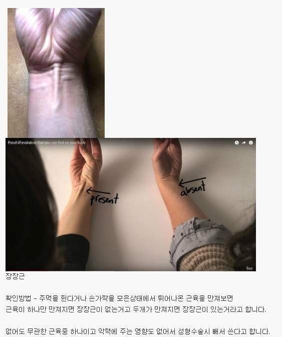 인구의 14％는 없는 근육 | 인스티즈