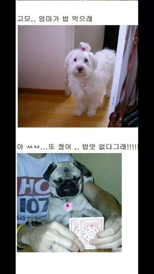 밥먹으래 | 인스티즈