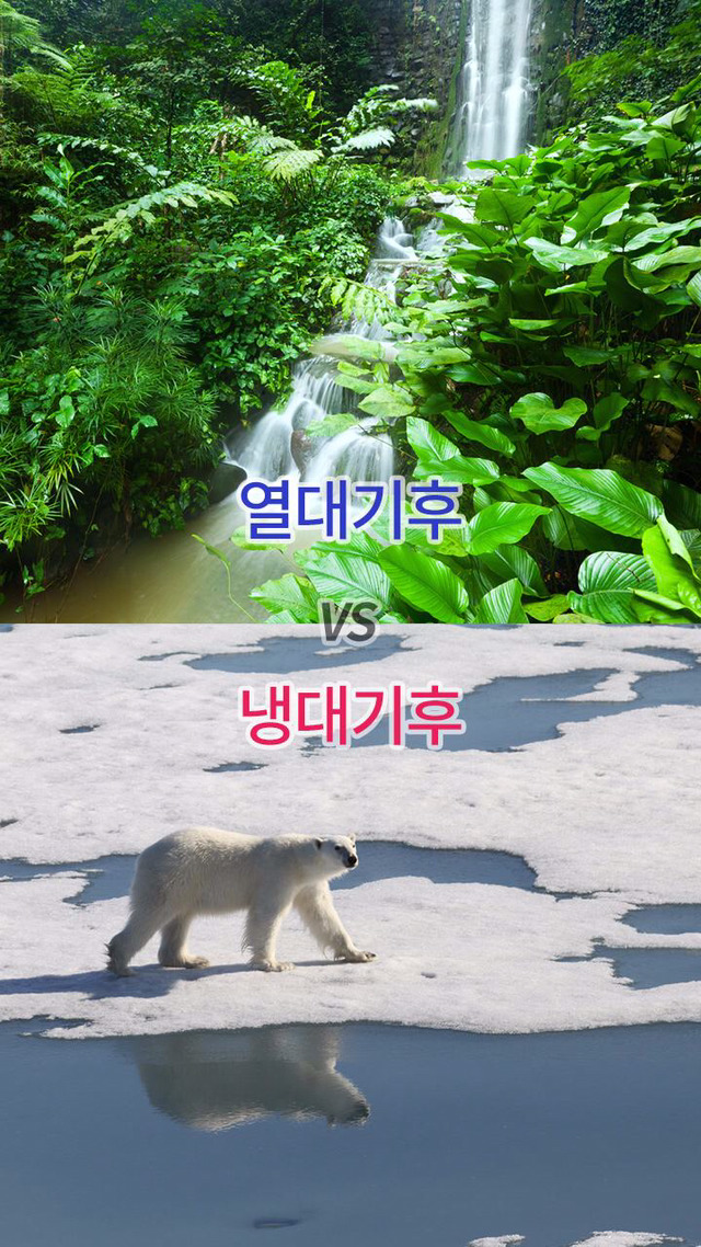 둘 중 하나만 고른다면 당신의 선택은? | 인스티즈