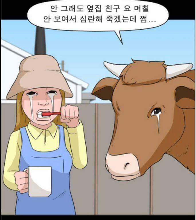 동물들이 말을 할 수 있다면 일어나는 일 | 인스티즈