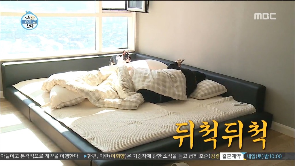 용감한형제 나혼자산다 | 인스티즈