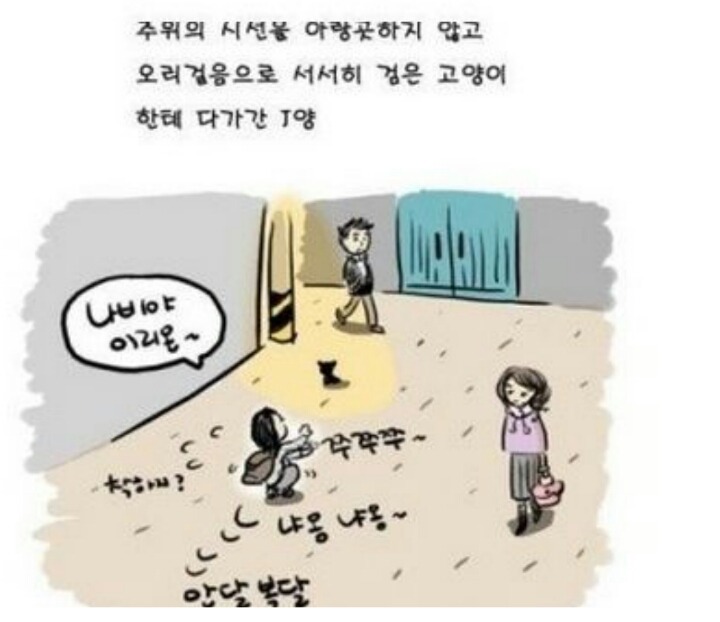 한밤중에 나타난 검은 고양이 | 인스티즈