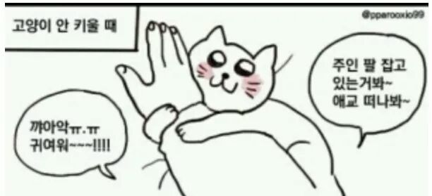 고양이 키우기 전과 키우고 나서의 차이.jpg | 인스티즈
