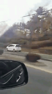 경차 전용 도로.gif | 인스티즈