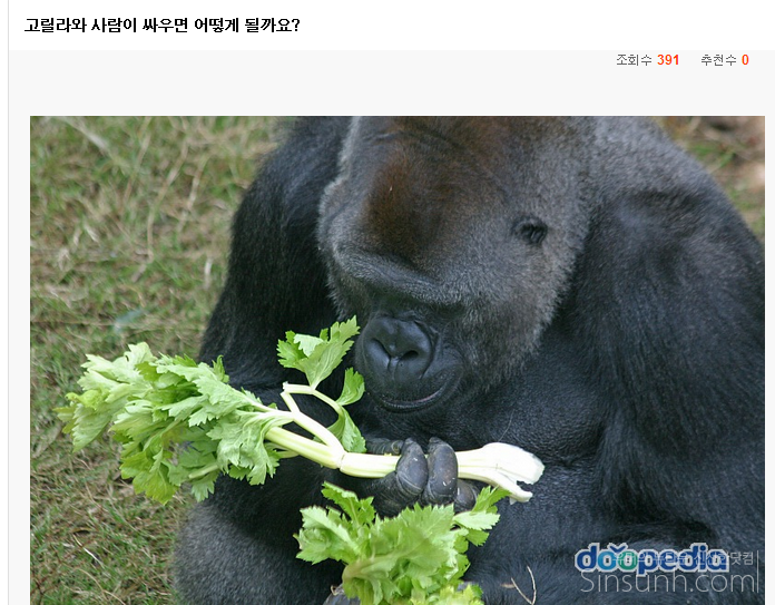 원조 허언증 갤러리 | 인스티즈