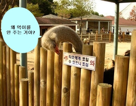 비밀 이미지