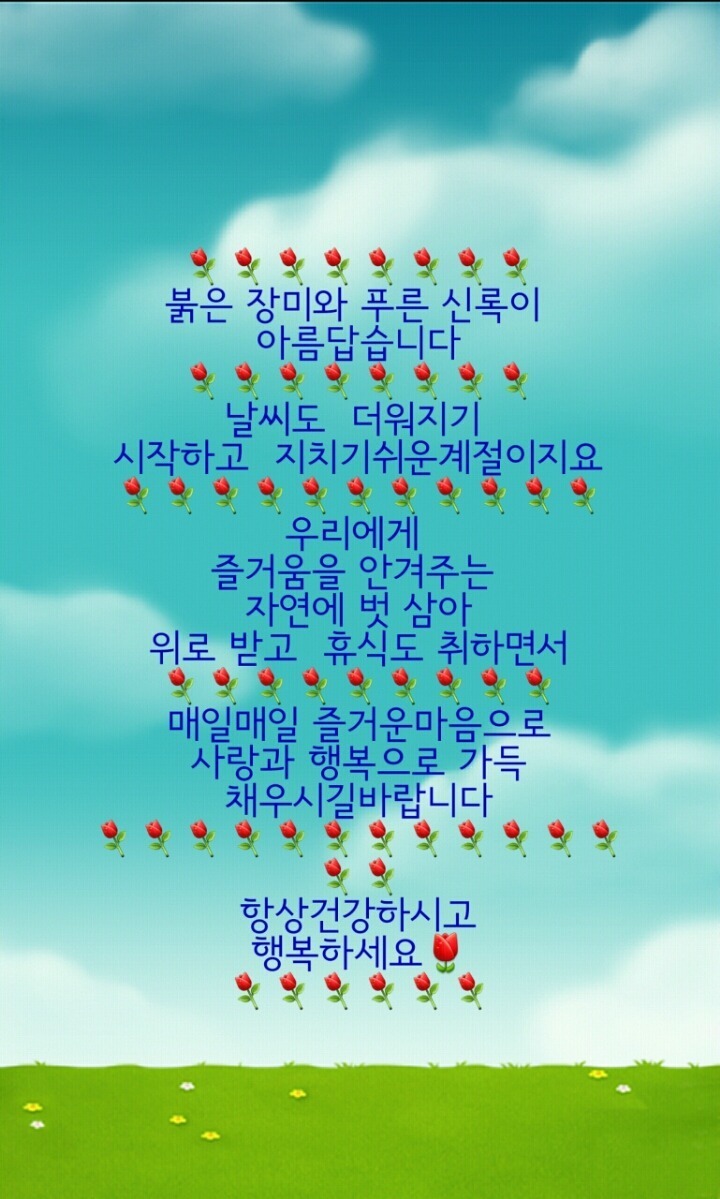 장윤정머리사랑 이미지