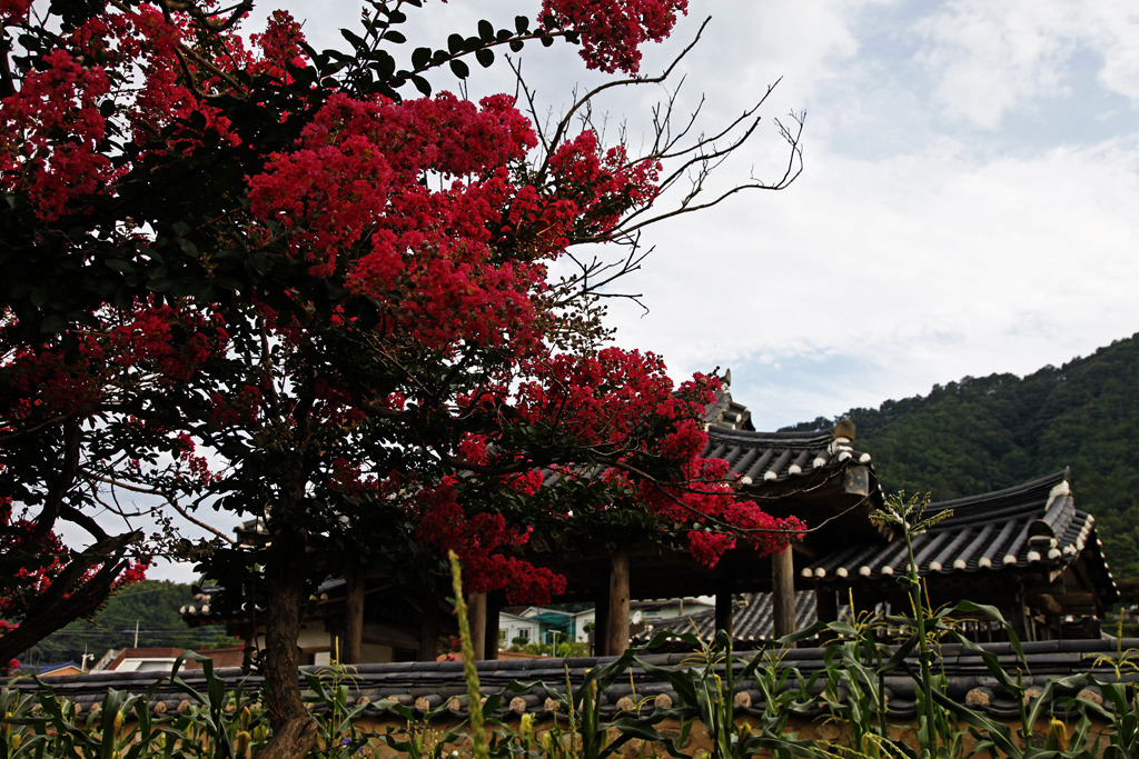 삼우당 이미지