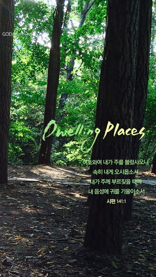 땅굴 이미지