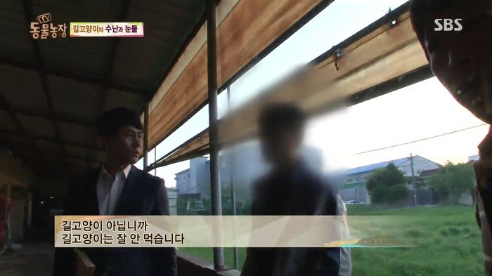 눈앞에서 제 아이가 맞아죽었습니다. 도와주세요 | 인스티즈