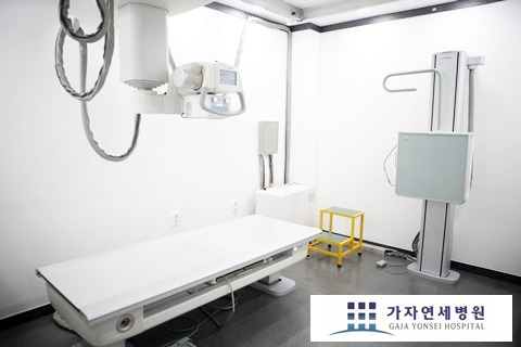선천가설 이미지