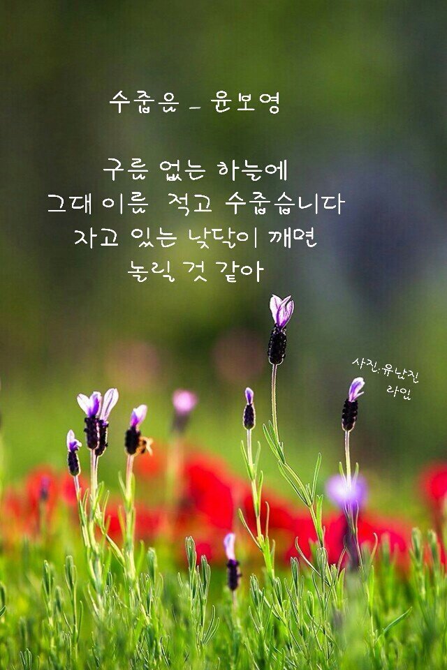 토요일 이미지