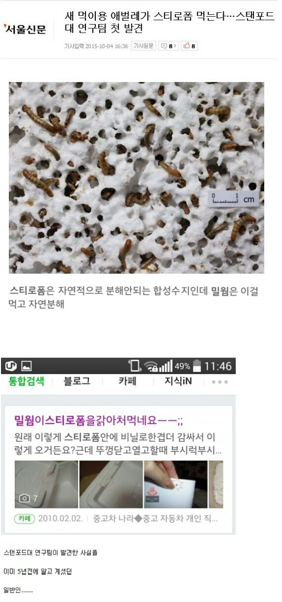 아는만큼 보인다 | 인스티즈
