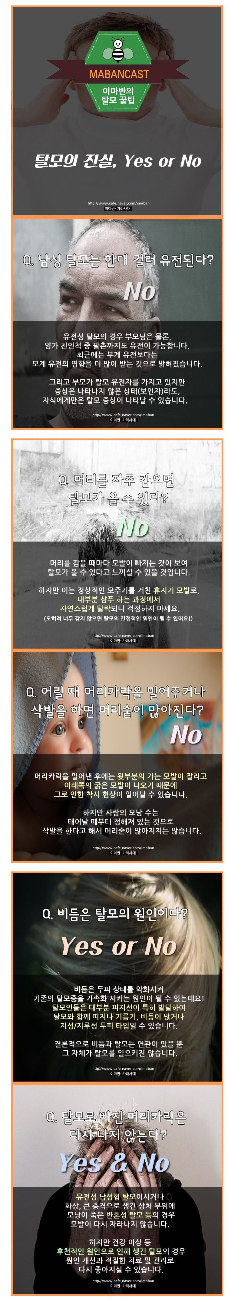 탈모의 진실 | 인스티즈