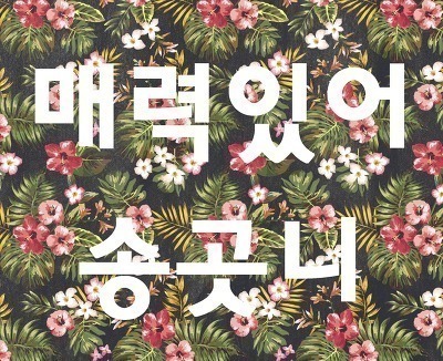  삼국전기 vs 던전 앤 드래곤2 | 인스티즈