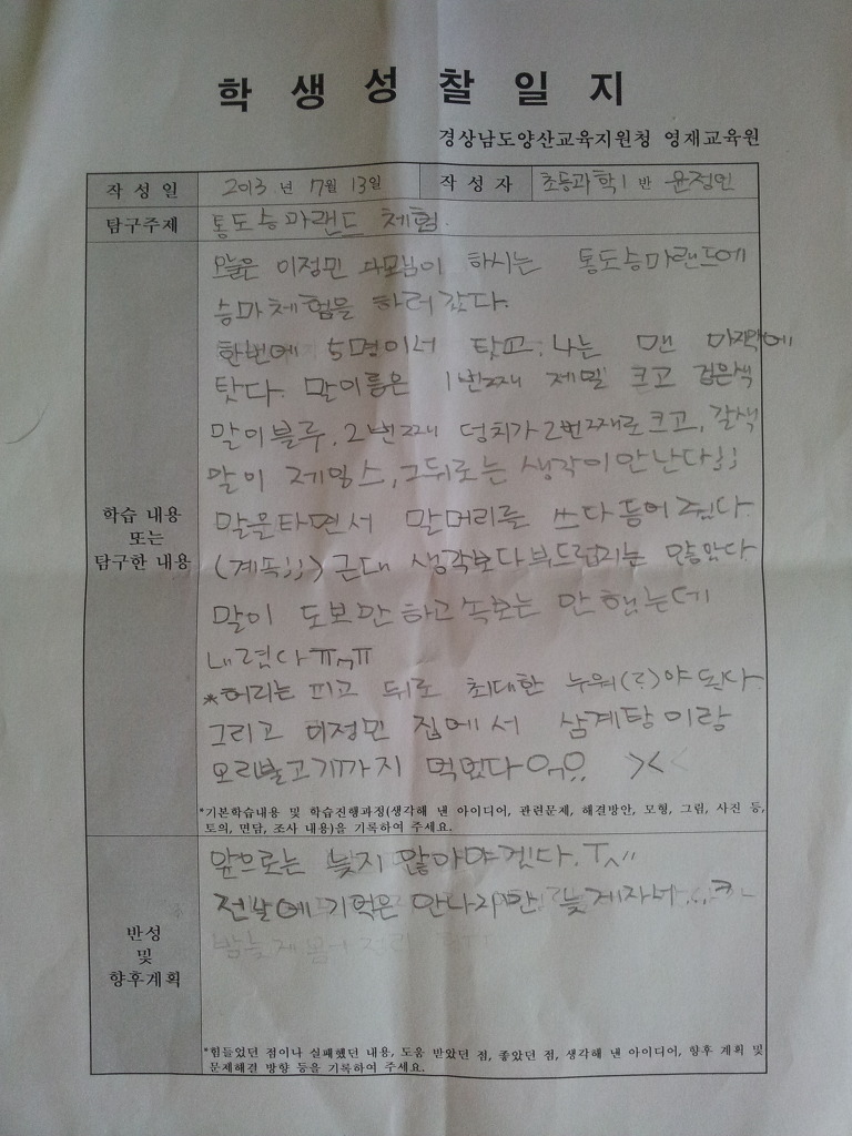 통도승마랜드 이미지