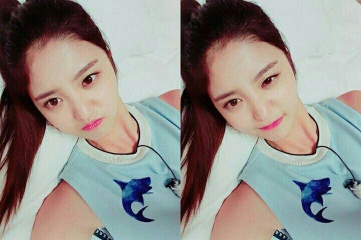 짜잔 이미지