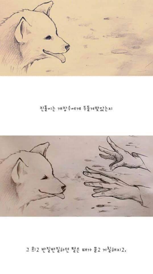 이 이야기는 실화입니다 | 인스티즈