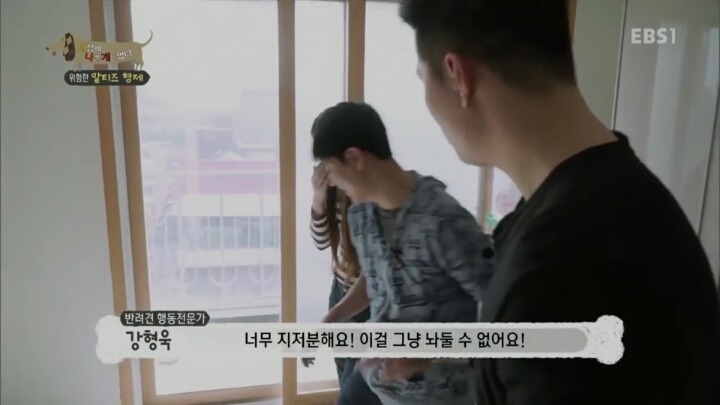 공격적인 반려견이 되는 이유 2부.jp | 인스티즈