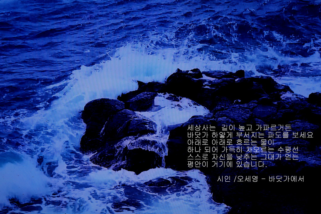 솔사랑 이미지